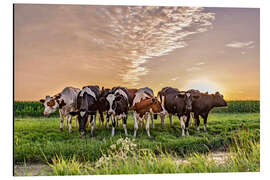 Magnettafel Kühe im Sonnenuntergang