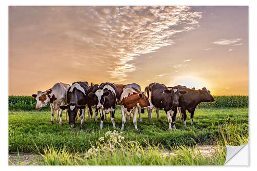 Självhäftande poster beautiful sunset cows gathering