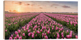 Tableau en bois Champ de tulipes aux Pays-Bas