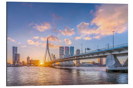 Alubild Erasmus Brücke, Rotterdam