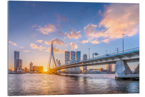 Quadro em plexi-alumínio Rotterdam The Erasmus Bridge