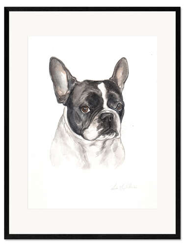 Ingelijste kunstdruk French bulldog, black-white