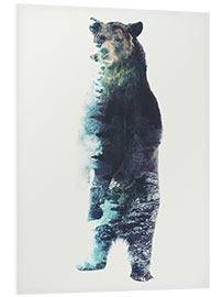 Foam board print Bear in the Woods