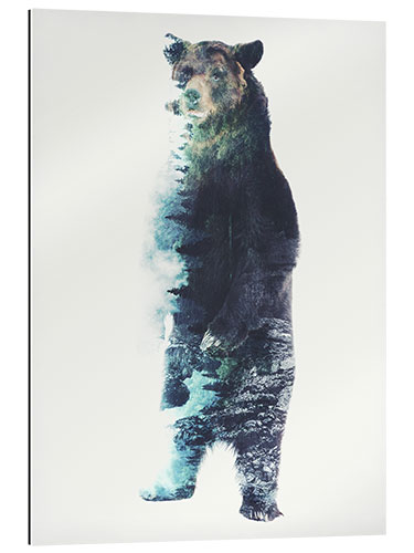 Galleriprint Bear in the Woods