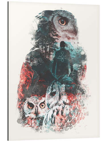 Stampa su alluminio The Owls are Not What They Seem