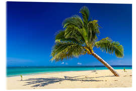 Acrylic print Desert Island South Seas Tonga