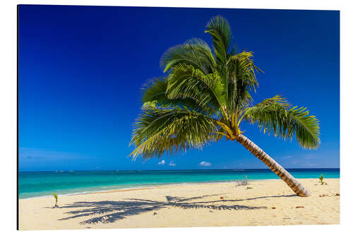 Tableau en aluminium Desert Island South Seas Tonga