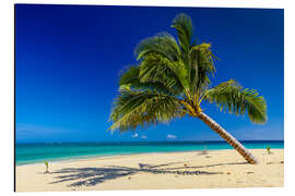 Aluminium print Desert Island South Seas Tonga