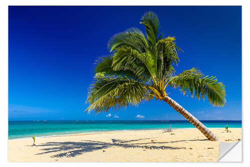 Selvklebende plakat Desert Island South Seas Tonga