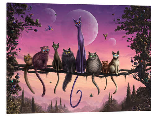 Acrylic print Cats in heaven