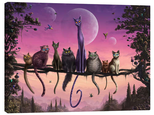 Canvas-taulu Cats in heaven