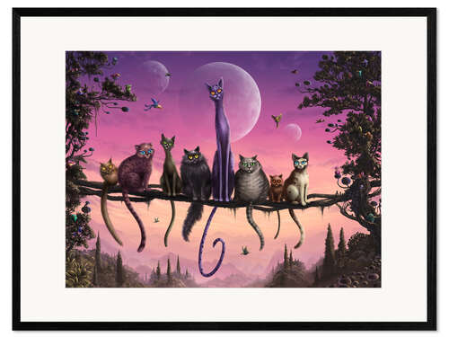 Gerahmter Kunstdruck Katzenhimmel