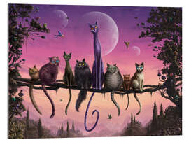 Magnettafel Katzenhimmel