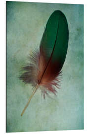 Aluminiumtavla Green feather