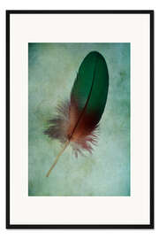 Gerahmter Kunstdruck Grüne Feder