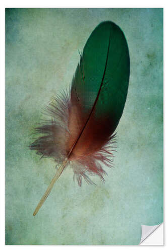 Wall sticker Green feather