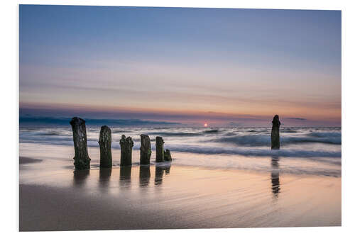 Print på skumplade Groyne on the Baltic Sea coast in sunset light