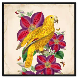 Gerahmter Kunstdruck Exotische Papageien V