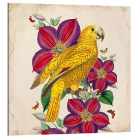 Magnettafel Exotische Papageien V