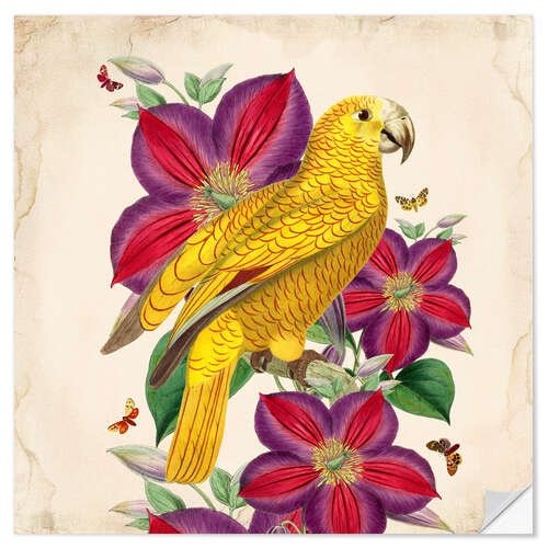 Wall sticker Oh My Parrot V