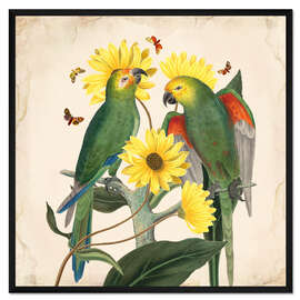 Gerahmter Kunstdruck Exotische Papageien II