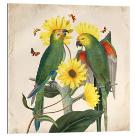 Gallery print Oh my parrot II