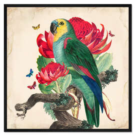 Gerahmter Kunstdruck Exotische Papageien X