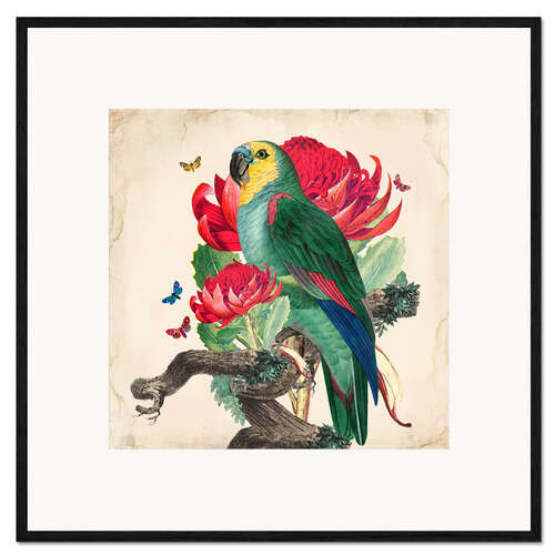Gerahmter Kunstdruck Exotische Papageien X