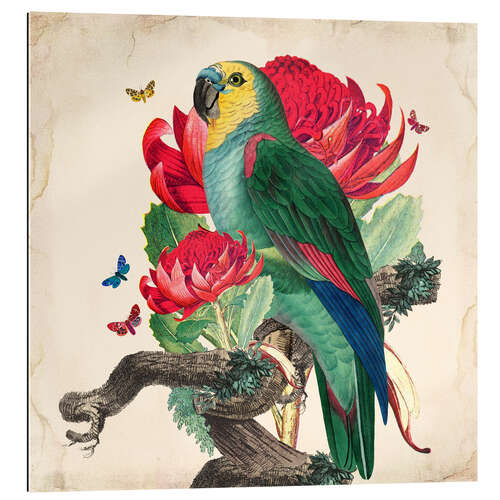 Gallery print Oh My Parrot X