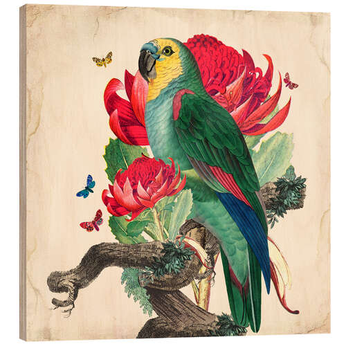 Wood print Oh My Parrot X