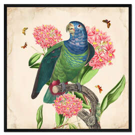 Gerahmter Kunstdruck Exotische Papageien IV