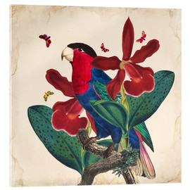 Akrylbilde  Oh My Parrot VII - Mandy Reinmuth
