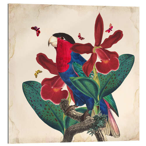 Gallery print Oh My Parrot VII