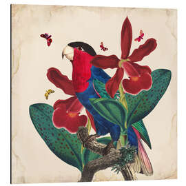 Magnettafel Exotische Papageien VII