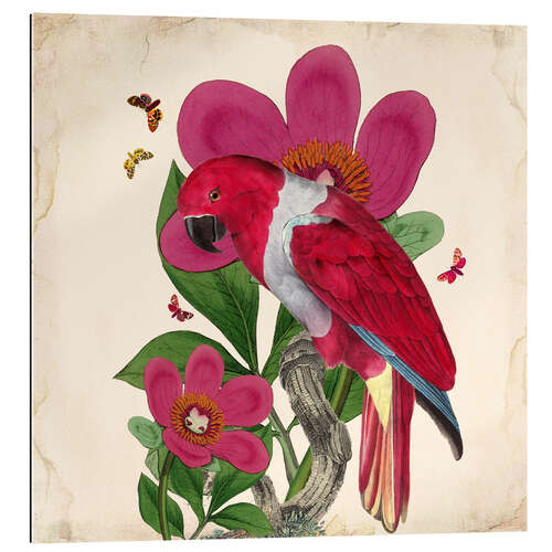 Gallery print Oh My Parrot VI