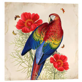 Akrylglastavla  Oh My Parrot III - Mandy Reinmuth