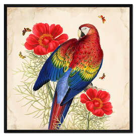 Gerahmter Kunstdruck Exotische Papageien III