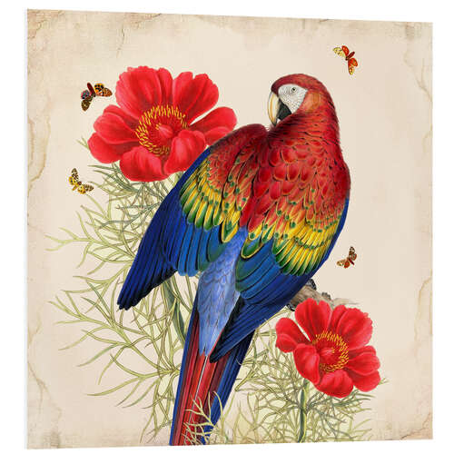 Foam board print Oh My Parrot III