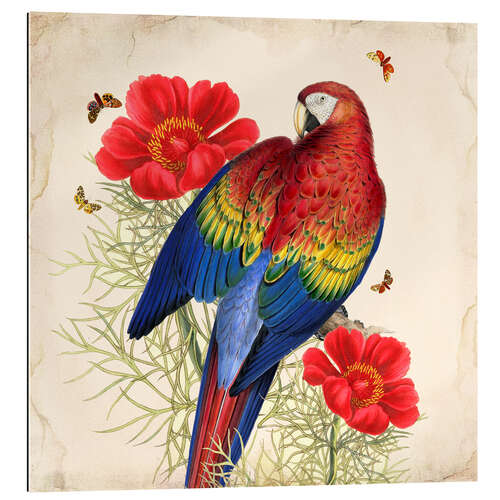 Gallery print Oh My Parrot III