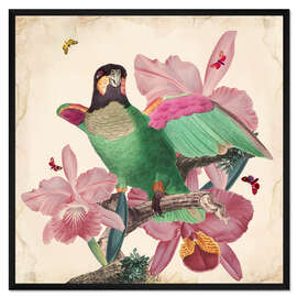 Gerahmter Kunstdruck Exotische Papageien VIII