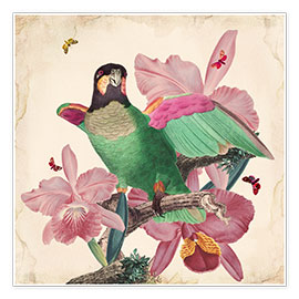 Wall print Oh my parrot VIII - Mandy Reinmuth