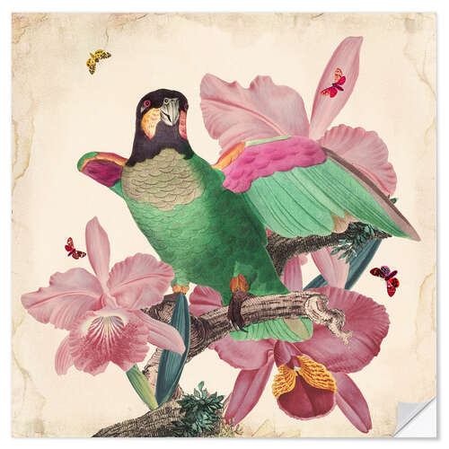 Wall sticker Oh my parrot VIII