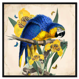 Gerahmter Kunstdruck Exotische Papageien IX