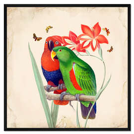 Gerahmter Kunstdruck Exotische Papageien I
