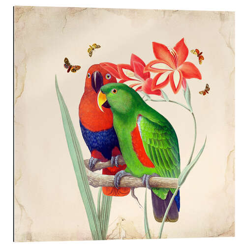 Gallery print Oh My Parrot I