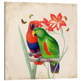 Magnettafel Exotische Papageien I