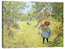 Tableau sur toile  La récolte des pommes - Carl Larsson