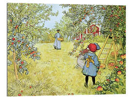 Gallery print The Apple Harvest