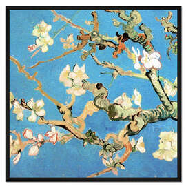 Gerahmter Kunstdruck Mandelblüte (Detail)
