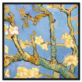 Gerahmter Kunstdruck Mandelblüte Detail